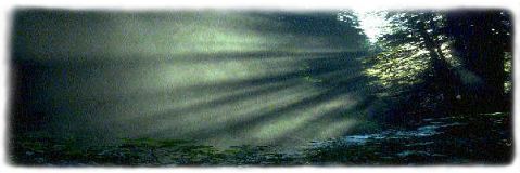 Lichtblick - Verantwortung der Menschen