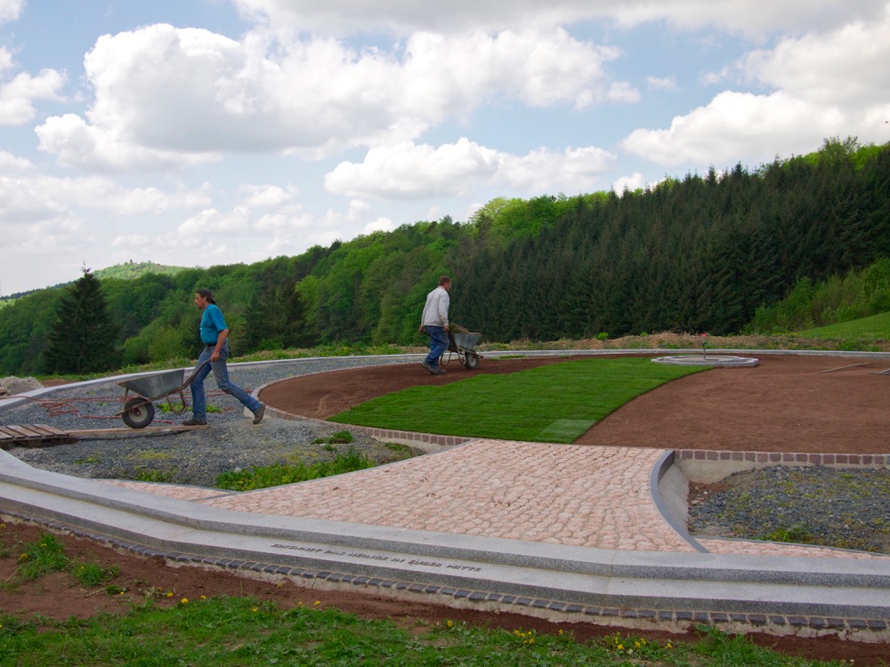 Rollrasen wird auf der Baumkrone verlegt