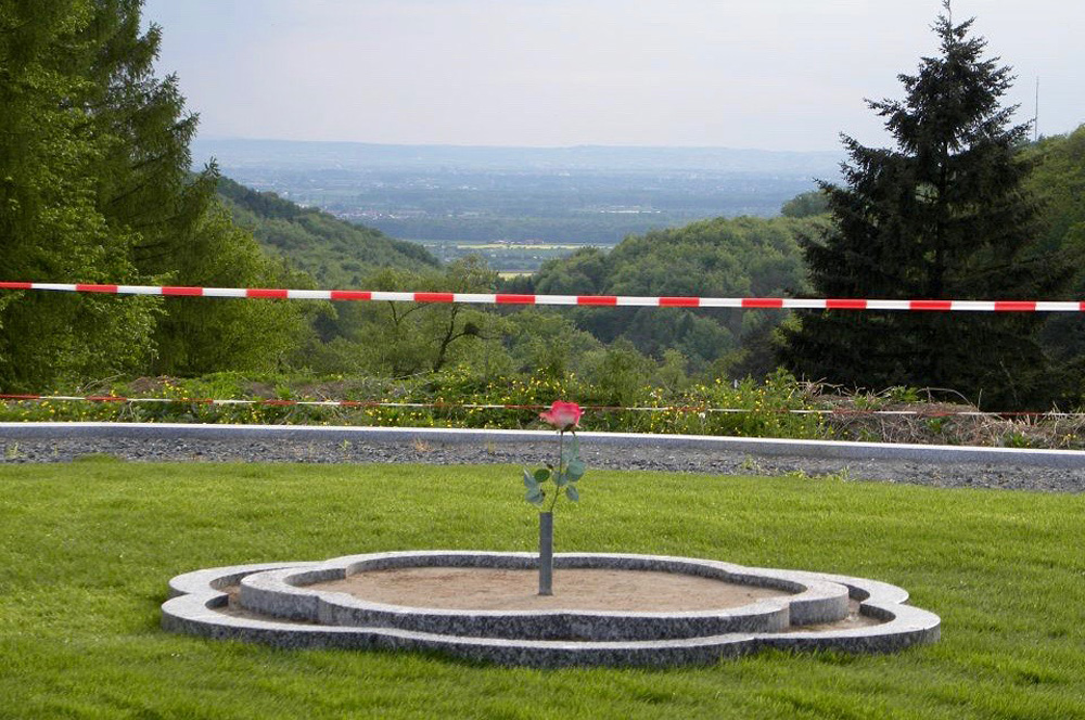 Die Form der Rose im nun grünen Gras