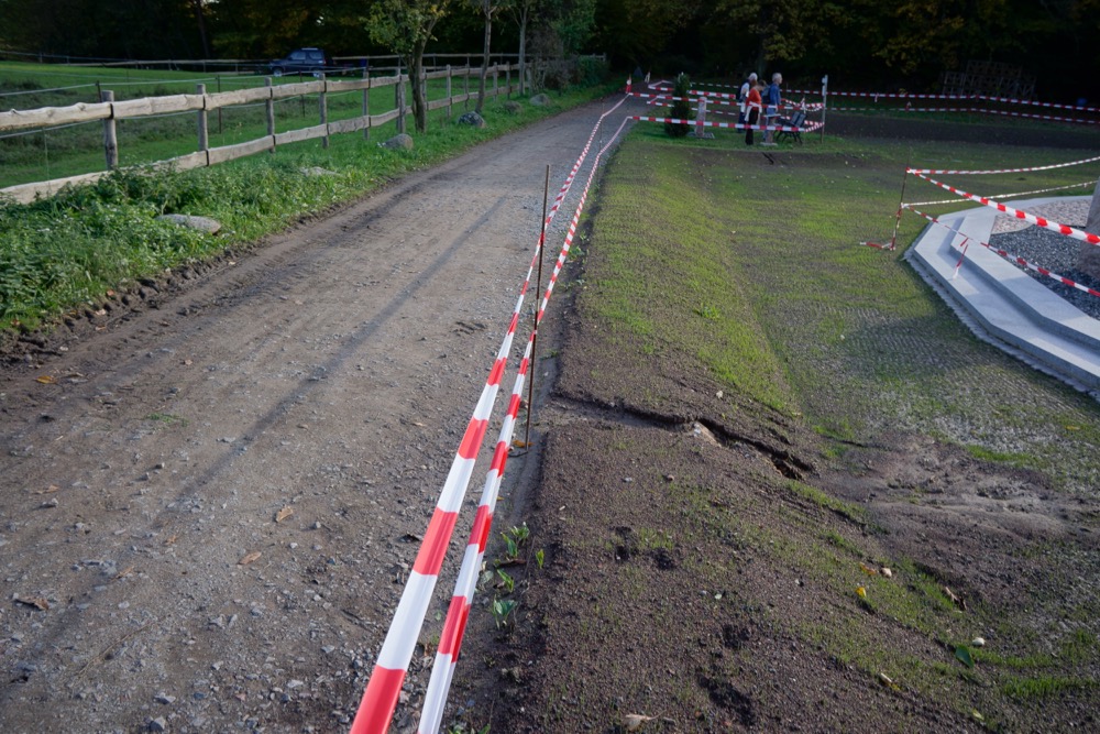 Gras wächst an