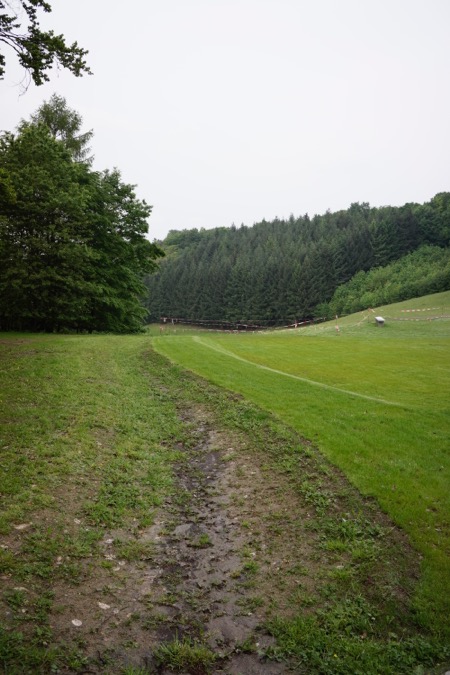 Die Grenze des Engelsflügels ist ein Entwässerungsgraben 
